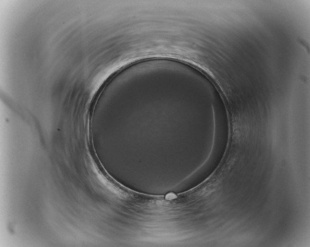 X0000102041515200807251402