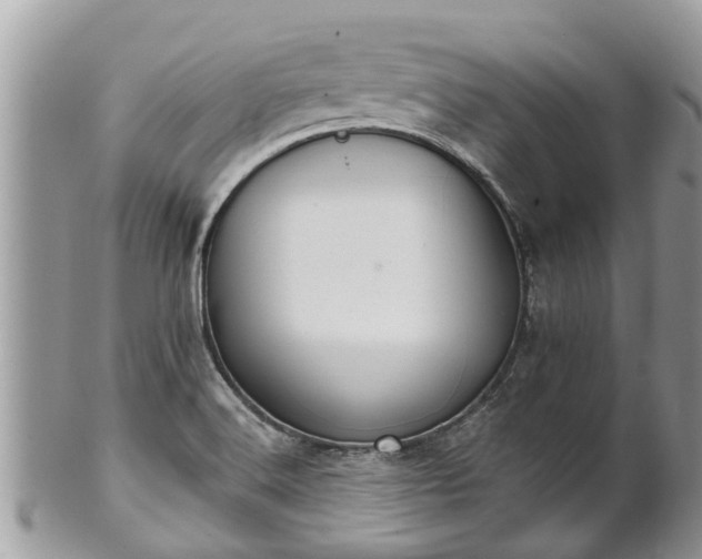 X0000102041516200807251402