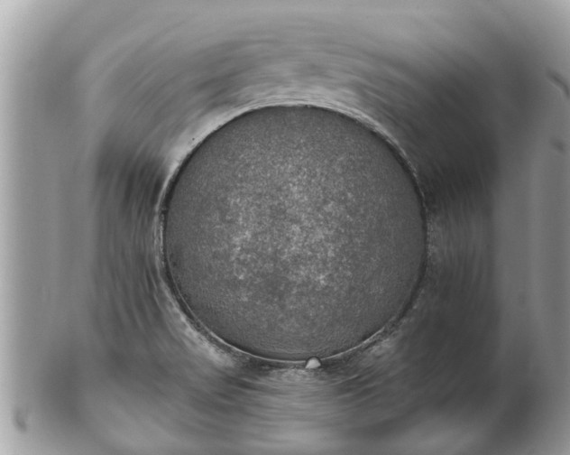 X0000102041517200807251402