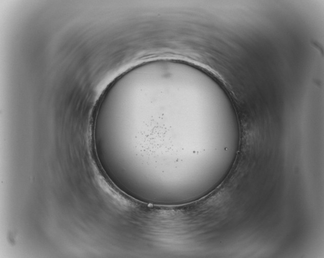 X0000102041518200807251402