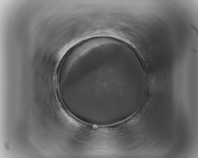 X0000102041519200807251402