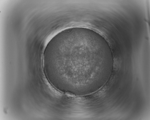 X0000102041520200807251402