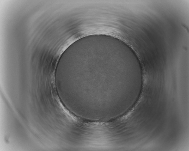 X0000102041521200807251402