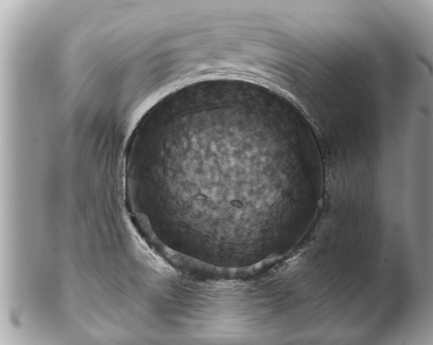 X0000102041522200807251402