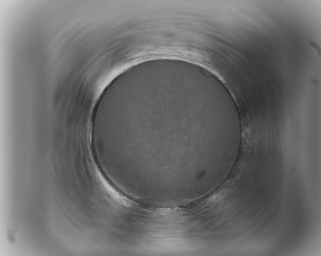 X0000102041523200807251402