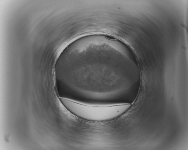 X0000102041524200807251402