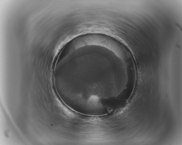 X0000102041525200807251402