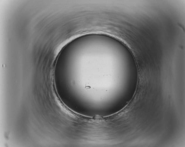 X0000102041526200807251402