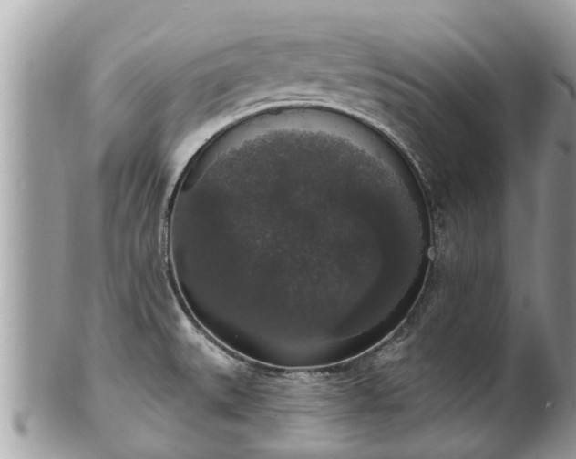 X0000102041527200807251402