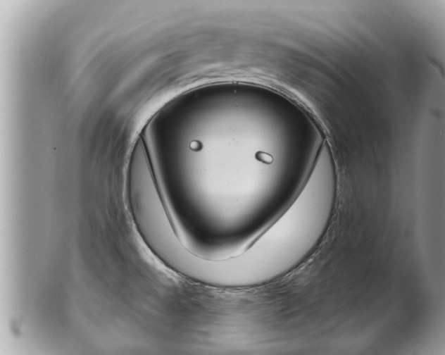 X0000102041528200807251402