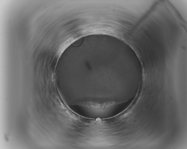 X0000102041529200807251402