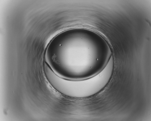 X0000102041530200807251402