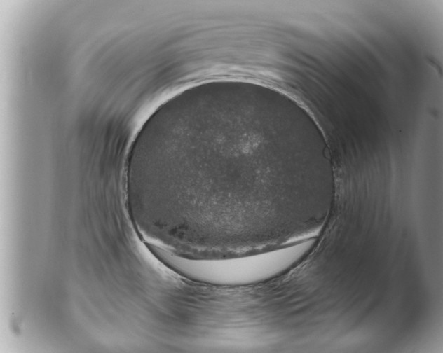 X0000102041531200807251402