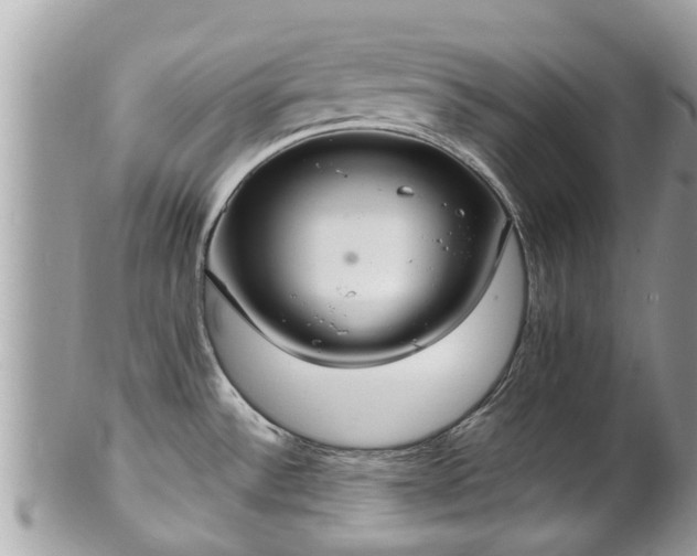 X0000102041532200807251402