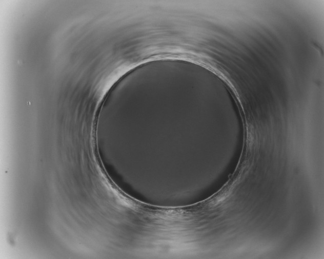 X0000102041533200807251402