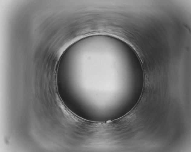 X0000102041534200807251402