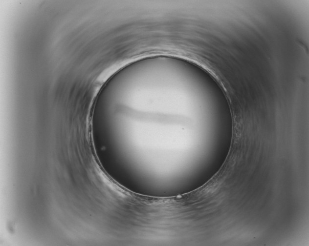 X0000102041535200807251402