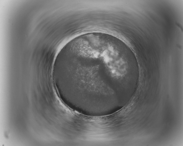 X0000102041536200807251402