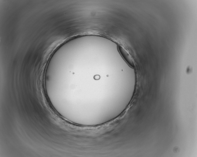 X0000102040001200808011521