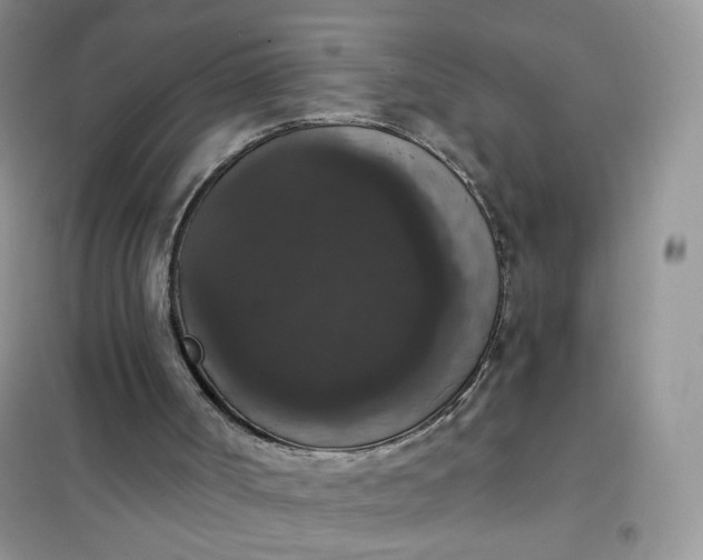 X0000102040002200808011521