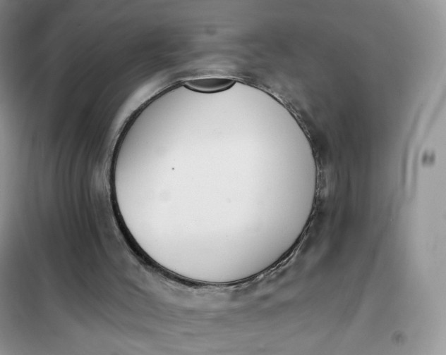 X0000102040004200808011521