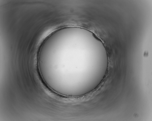 X0000102040005200808011521