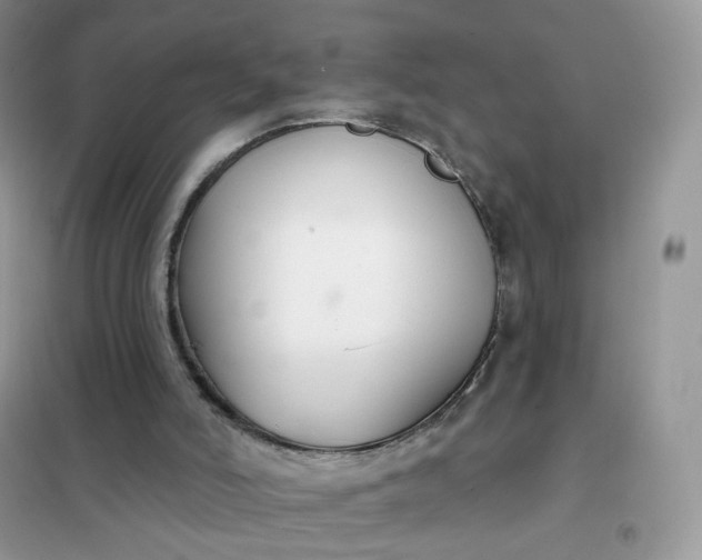 X0000102040006200808011521