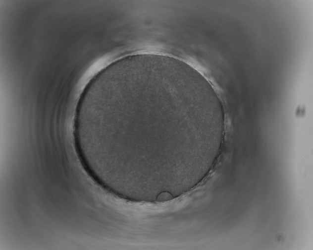 X0000102040007200808011521