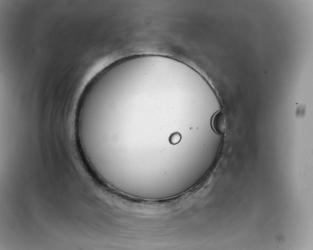 X0000102040008200808011521