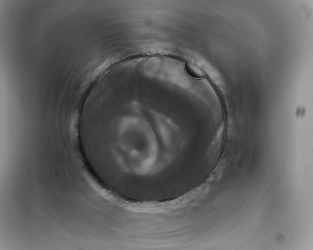 X0000102040009200808011521