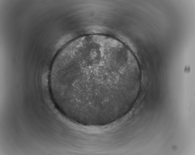 X0000102040010200808011521