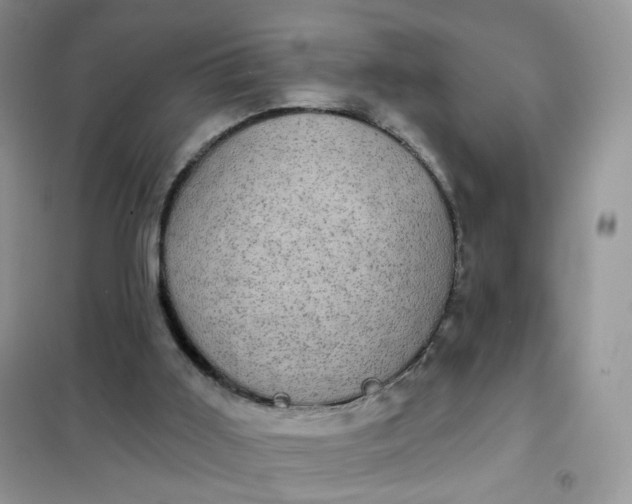 X0000102040011200808011521