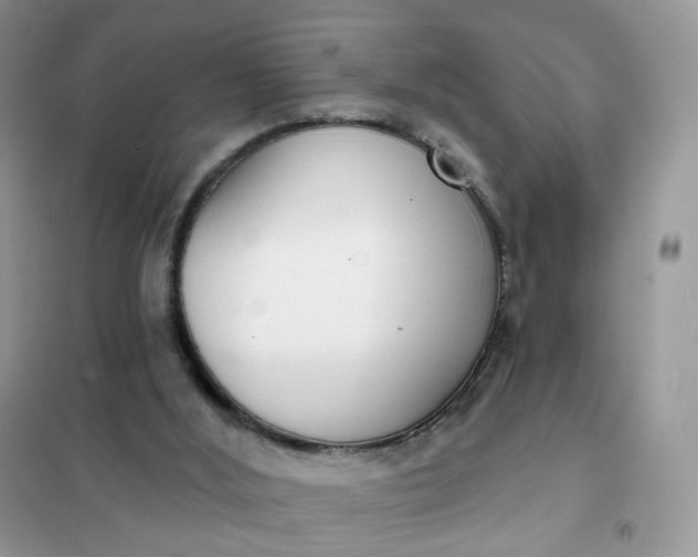 X0000102040012200808011521