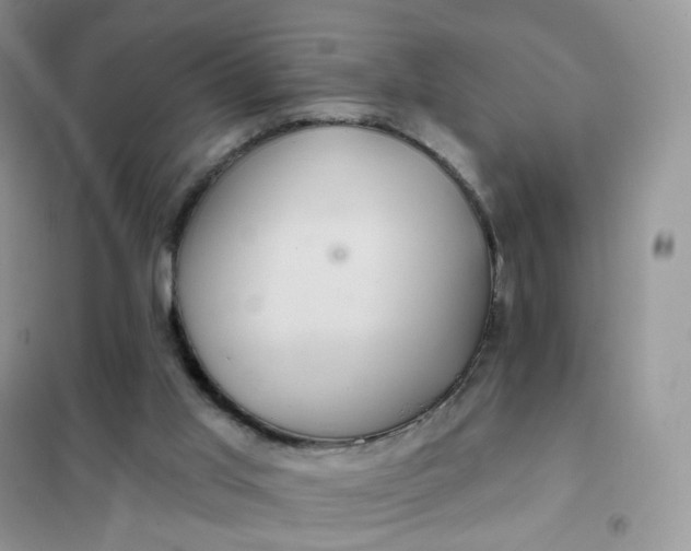 X0000102040013200808011521