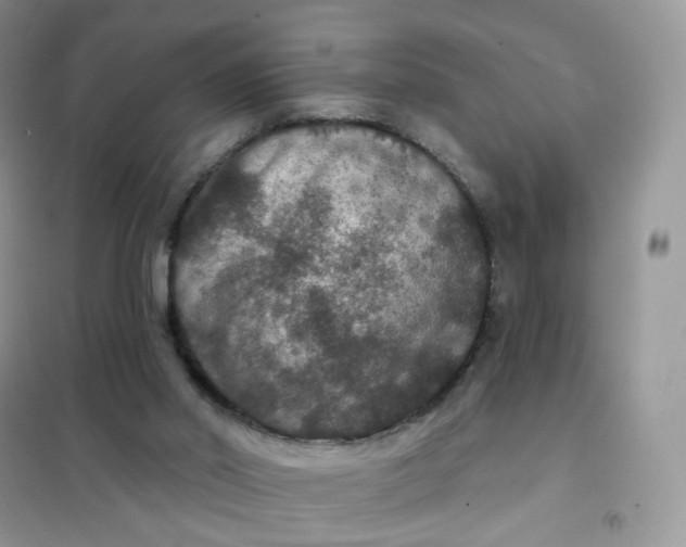 X0000102040014200808011521