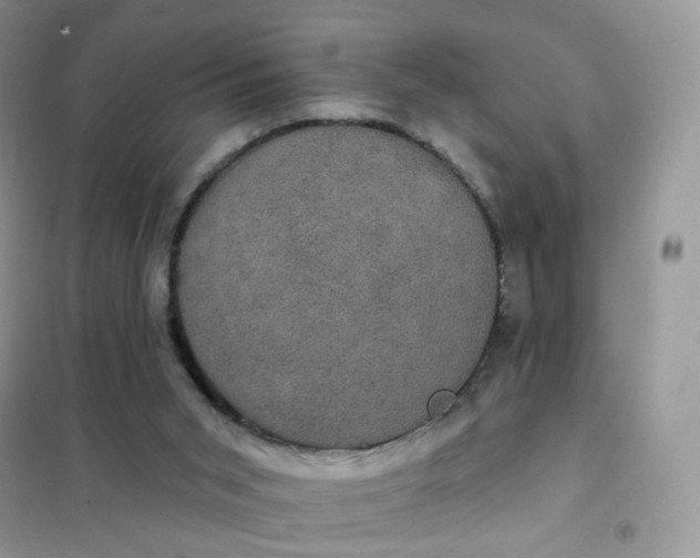 X0000102040015200808011521