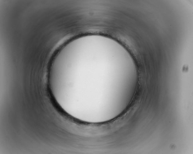 X0000102040016200808011521