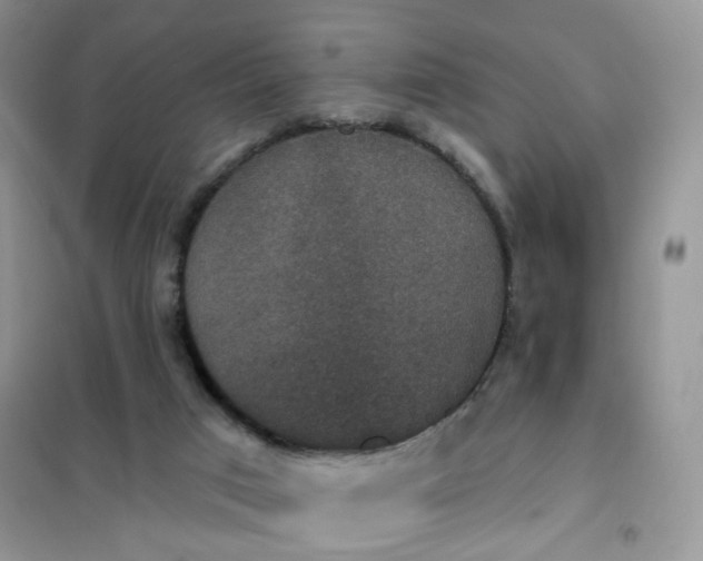 X0000102040017200808011521