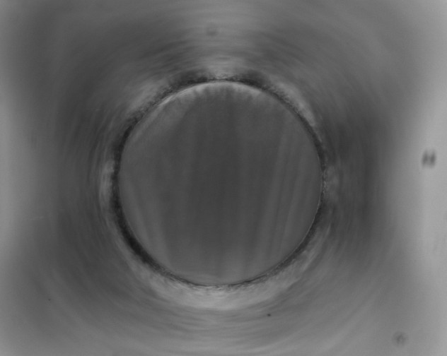 X0000102040018200808011521