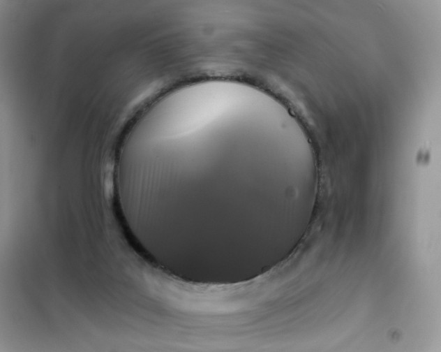 X0000102040019200808011521