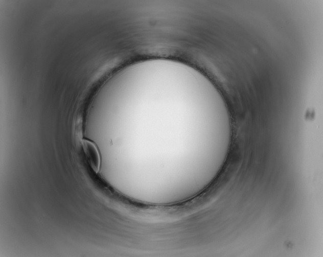 X0000102040020200808011521