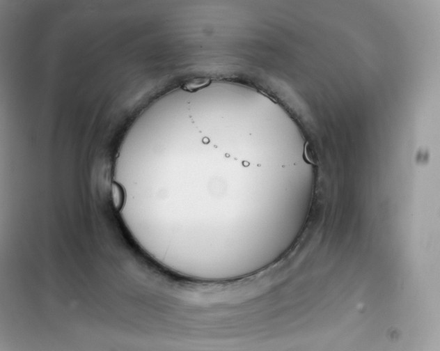 X0000102040021200808011521