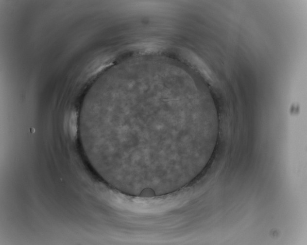 X0000102040022200808011521