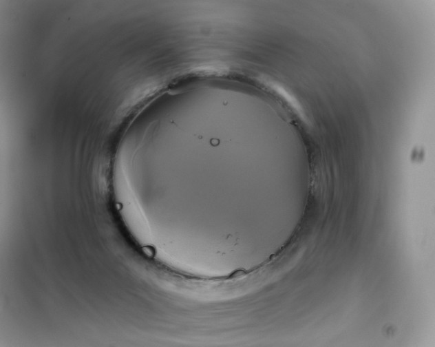 X0000102040023200808011521