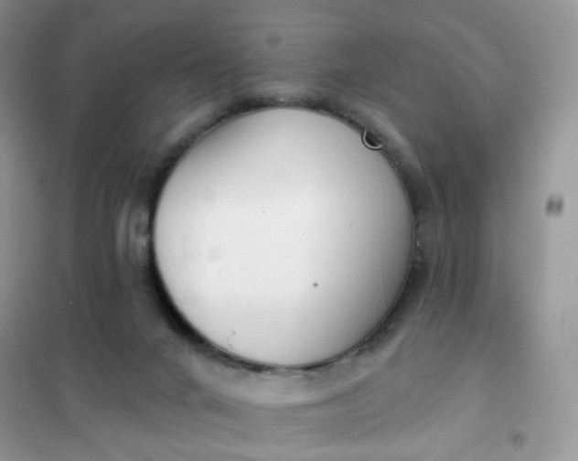 X0000102040024200808011521