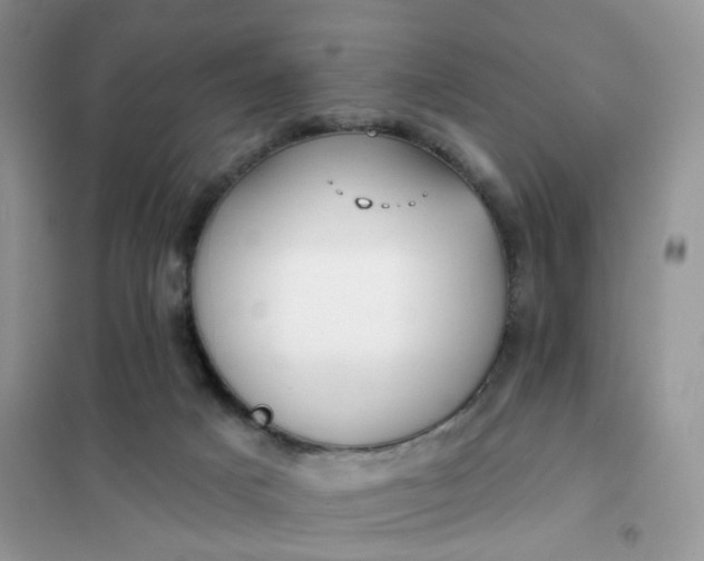 X0000102040025200808011521