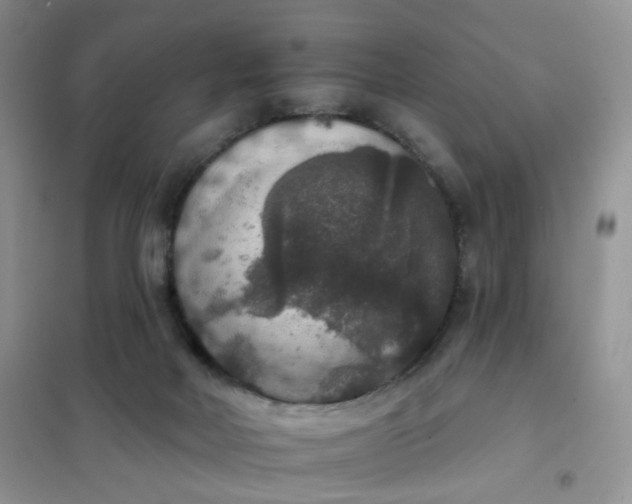 X0000102040026200808011521