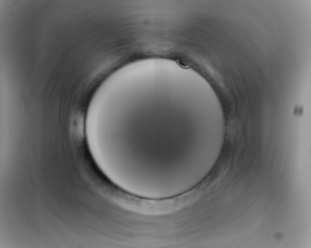 X0000102040027200808011521