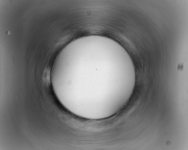 X0000102040028200808011521