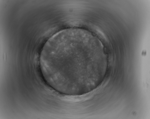 X0000102040029200808011521